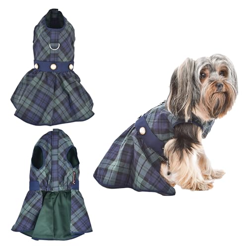 Parisian Pet Designer Scottish Green/Blue Plaid Dog Dress Holiday Party Special Occasion Photography von Parisian Pet