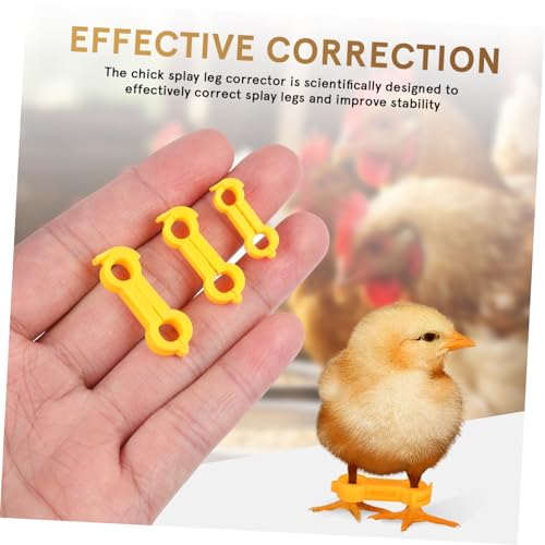 Parliky 12 Stück Teiliges Babyvogel Beinspreizer Robustem Kunststoff Effektive Spreizbein korrektur und Stabile Unterstützung für Neugeborene Küken Papageien und Kleine Vögel Verschiedene von Parliky