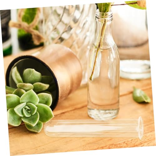Parliky 4 Stück Glas Reagenzglas Vasen Transparent Hydroponische Pflanzröhren für Zimmerpflanzen Desktop Vermehrungsstation Blumenhalter Propagation Planter Tube Terrarium Parliky 4 Stück Glas Reagenzglas Vasen Transparent Hydroponische Pflanzröhren für Zimmerpflanzen Desktop Vermehrungsstation Blumenhalter Propagation Planter Tube Terrarium von Parliky
