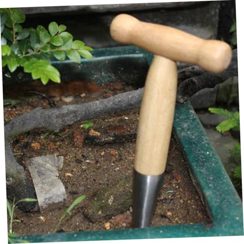 Parliky Edelstahl Dibber mit Stabilem Holzgriff Langlebiges Pflanzwerkzeug für Garten Blumenzwiebeln Aussaat und Setzlinge Handlich Rostfrei zum Bohren Stechen und Pflanzen im Boden von Parliky