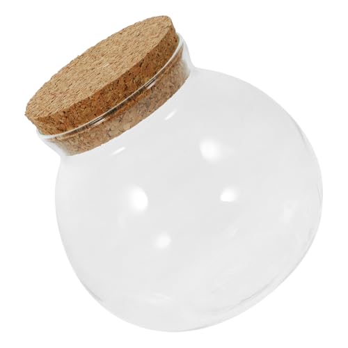 Parliky Glas Terrarium Flaschenkultur mit Korkdeckel Ökologischer DIY Pflanzenbehälter für Hydroponik Landschaft Flasche Dekoratives Fischglas für Wohnzimmer und Büro von Parliky