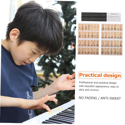 Parliky Piano Keyboard Sticker für Anfänger Leicht Anzubringen und Rückstandsfrei Entfernbar für Klavier und Elektronisches Keyboard Pädagogisch mit Klaren Notenetiketten Praktische von Parliky