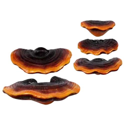PartyKindom 1 Satz Resin Ganoderma Pilz Figuren Teiliges Pilz für Garten Bonsai Realistische Details für Kreative Miniatur Landschaften Hochwertige Harzstatue PartyKindom 1 Satz Resin Ganoderma Pilz Figuren Teiliges Pilz für Garten Bonsai Realistische Details für Kreative Miniatur Landschaften Hochwertige Harzstatue von PartyKindom