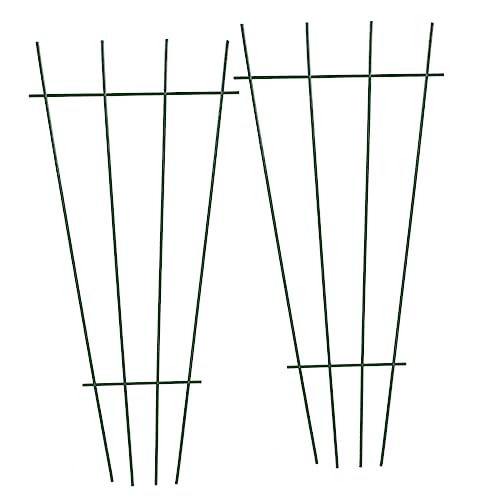 PartyKindom 2stücke Pflanzenspalier Für Rankpflanzen Im Garten Rankgitter Für Weinreben Und Kletterpflanzen Gartenbedarf Für Grünpflanzen PartyKindom 2stücke Pflanzenspalier Für Rankpflanzen Im Garten Rankgitter Für Weinreben Und Kletterpflanzen Gartenbedarf Für Grünpflanzen von PartyKindom