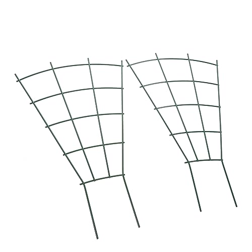 PartyKindom 2 Stück Pflanzenkletterhilfe Grün Stabiles Eisen Rankgitter für Topfpflanzen Vielseitige Kletterstütze für Garten und Indoor Wetterfestes Spalier für Orchideen und Kletterpflanzen PartyKindom 2 Stück Pflanzenkletterhilfe Grün Stabiles Eisen Rankgitter für Topfpflanzen Vielseitige Kletterstütze für Garten und Indoor Wetterfestes Spalier für Orchideen und Kletterpflanzen von PartyKindom