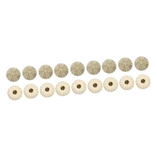 PartyKindom 3 Sätze Topfpflanze Fisch Sukkulenten Anlage Topflappen Terrarienset Schale Wohnzimmerdeko Naturdeko Usa Seeigel-luftpflanzentopf Muscheldesign Blumentopf Hülse Green 6 Stück * 3 von PartyKindom