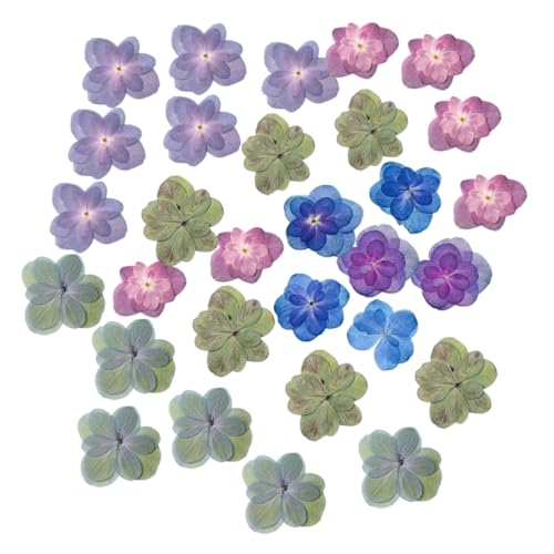 PartyKindom 30 Stück Natürliche Getrocknete Blumen Teiliges Gepresste Blumen für DIY Schmuck Scrapbooking Nail Art Harzdekoration Handgefertigte Lesezeichen und Bastelprojekte Geeignet von PartyKindom