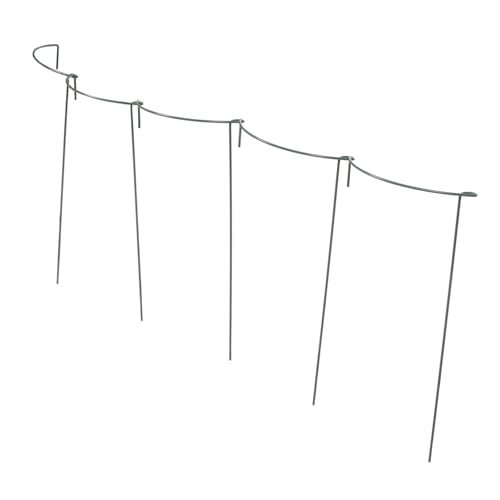 PartyKindom 5 Stück Teiliges Halbrundes Rankgitter aus Robustem Eisen Pflanzenstütze für Topfpflanzen Kletterpflanzenhalter Gartengitter für Hortensien und Gemüse Hoch Einfache Installation PartyKindom 5 Stück Teiliges Halbrundes Rankgitter aus Robustem Eisen Pflanzenstütze für Topfpflanzen Kletterpflanzenhalter Gartengitter für Hortensien und Gemüse Hoch Einfache Installation von PartyKindom