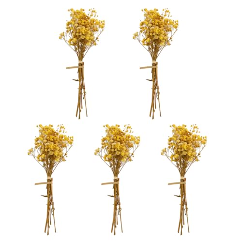 PartyKindom 5 Stück Trockenblumenstrauß Gypsophila Getrocknet Natürliche Farben Langlebig Wohnzimmer Dekoration Handgefertigt Kleine Blumenarrangements ohne Pflege Geeignet PartyKindom 5 Stück Trockenblumenstrauß Gypsophila Getrocknet Natürliche Farben Langlebig Wohnzimmer Dekoration Handgefertigt Kleine Blumenarrangements ohne Pflege Geeignet von PartyKindom