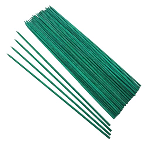 PartyKindom 50 Stück Pflanzenstützstäbe Pflanzstäbe für Garten Kletterpflanzen Stabile Pflanzenhalter aus Natürlichem Einfach in Erde Steckbar für Gesunde Pflanzenentwicklung PartyKindom 50 Stück Pflanzenstützstäbe Pflanzstäbe für Garten Kletterpflanzen Stabile Pflanzenhalter aus Natürlichem Einfach in Erde Steckbar für Gesunde Pflanzenentwicklung von PartyKindom