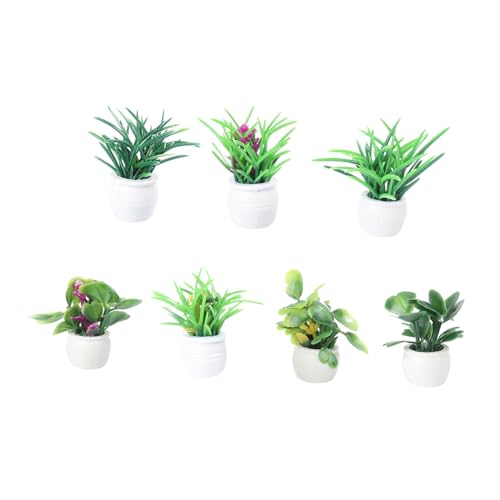 PartyKindom 7 Stück Teiliges Miniatur blumentopf Lebensechte Mini pflanzenmodelle für DIY Bastelprojekte Puppenhaus Dekoration Geschenkideen Zufällige Auswahl PartyKindom 7 Stück Teiliges Miniatur blumentopf Lebensechte Mini pflanzenmodelle für DIY Bastelprojekte Puppenhaus Dekoration Geschenkideen Zufällige Auswahl von PartyKindom