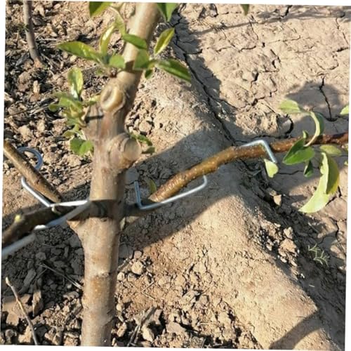 PartyKindom Branch Puller Pflanzentrainer Astbieger für Obstbäume und Garten Langlebig Einsetzbar Fördert Baumformung und Ertragssteigerung PartyKindom Branch Puller Pflanzentrainer Astbieger für Obstbäume und Garten Langlebig Einsetzbar Fördert Baumformung und Ertragssteigerung von PartyKindom