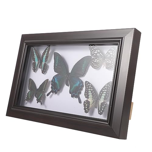PartyKindom Einzigartiges Schmetterlingsexemplar Wandkunst Wandbehang Exemplar Wohndekoration Für Schlafzimmer PartyKindom Einzigartiges Schmetterlingsexemplar Wandkunst Wandbehang Exemplar Wohndekoration Für Schlafzimmer von PartyKindom