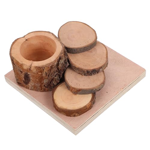 PartyKindom Hamster Kletterspielzeug aus Apfelholz mit Futternapf Beissfestes Zahnpflege Kleine Haustierleiter für Zwerghamster und Mäuse Fördert Aktivität und Geistige Gesundheit PartyKindom Hamster Kletterspielzeug aus Apfelholz mit Futternapf Beissfestes Zahnpflege Kleine Haustierleiter für Zwerghamster und Mäuse Fördert Aktivität und Geistige Gesundheit von PartyKindom