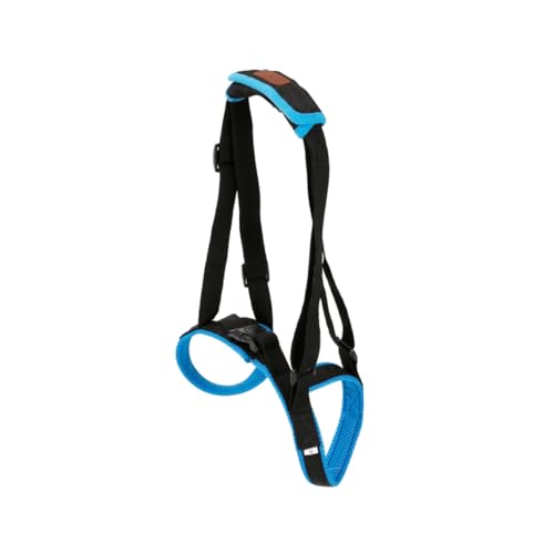 PartyKindom Hundetreppe Hilfsgurt Blau Atmungsaktives Air Mesh Material Gepolsterte Handgriffe Unterstützend für Ältere Hunde mit Beinbehinderung rutschfeste Gehhilfe für Treppensteigen und PartyKindom Hundetreppe Hilfsgurt Blau Atmungsaktives Air Mesh Material Gepolsterte Handgriffe Unterstützend für Ältere Hunde mit Beinbehinderung rutschfeste Gehhilfe für Treppensteigen und von PartyKindom