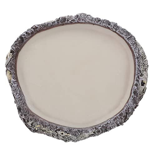 PartyKindom Reptilien Wassernapf Kleine Futter und Wasserschale für Echsen Schildkröten Schlangen Auslaufsicher Geeignet für Kleine Reptilien Wie Bartagamen und Geckos Dekorativ und Praktisch von PartyKindom