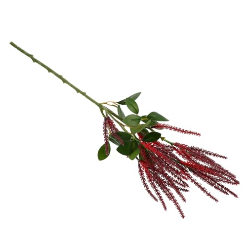 PartyKindom Sternengras für gefälschte Blumen im Freien Pflanzen außen Mini kunstpflanze kunstplflanze Artificial Plant hohzeitdeko künstliche Grünpflanze künstlicher grüner Zweig Plastik rot PartyKindom Sternengras für gefälschte Blumen im Freien Pflanzen außen Mini kunstpflanze kunstplflanze Artificial Plant hohzeitdeko künstliche Grünpflanze künstlicher grüner Zweig Plastik rot von PartyKindom