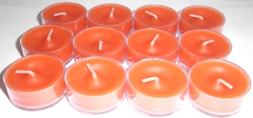 1a PartyLite 12 Teelichter INGWER-KÜRBIS Herbstduft v04401--- orange von PartyLite - TEELICHTER