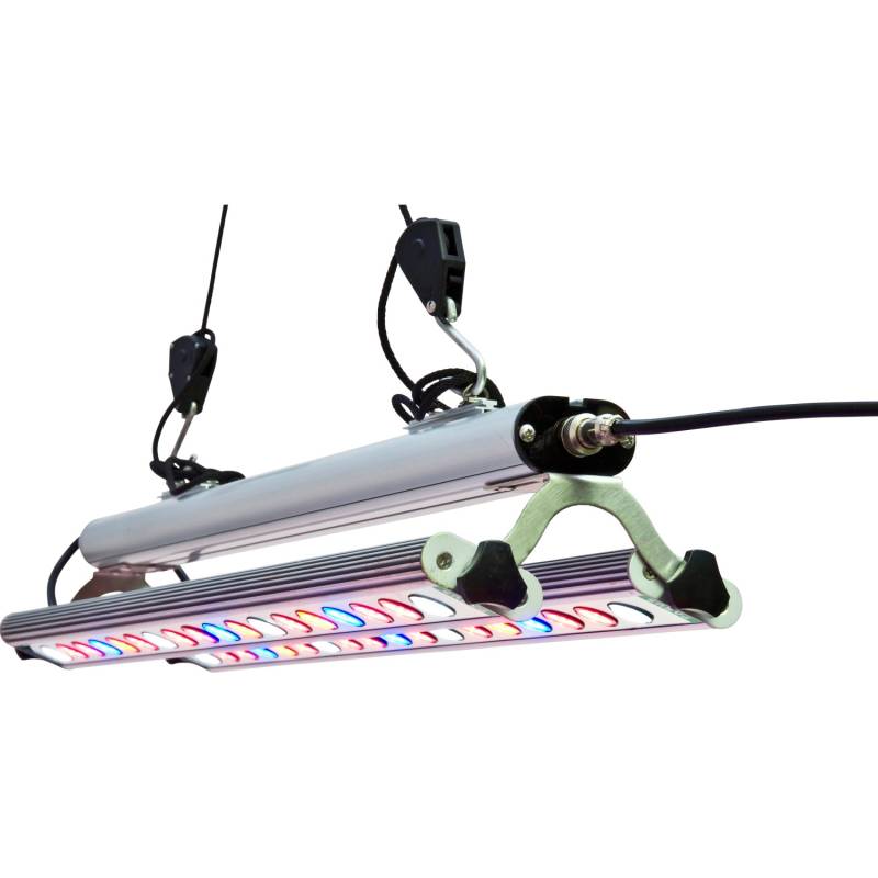 Parus by Venso LED-Pflanzenlampe GrowLight Quattro Double 60 W von Parus by Venso