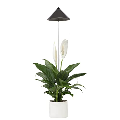 Parus by Venso SUNLiTE 7W LED Vollspektrum Pflanzenlampe Grau, Indoor Plants Pflanzen Beleuchtung, mit ausziehbarem Teleskopstab, Parus Pflanzenlampe für kleine und mittelgroße Zimmerpflanzen von Parus by Venso