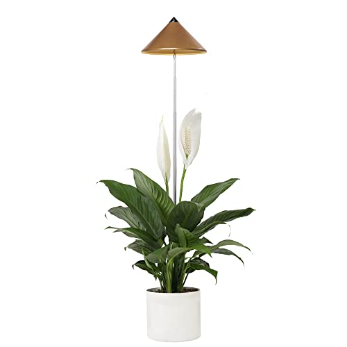 Parus by Venso SUNLiTE 7W LED Vollspektrum Pflanzenlampe kupfer, Indoor Plants Pflanzen Beleuchtung, mit ausziehbarem Teleskopstab, Parus Pflanzenlampe für kleine und mittelgroße Zimmerpflanzen von Parus by Venso