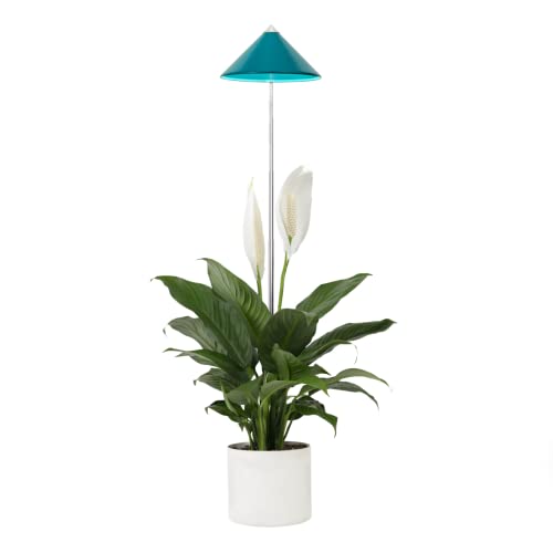 Parus by Venso SUNLiTE LED Pflanzenlampe klein 7W Petrol, Wachstumslampe mit Teleskopstab, Grow Light für Zimmerpflanzen und Grünpflanzen von Parus by Venso