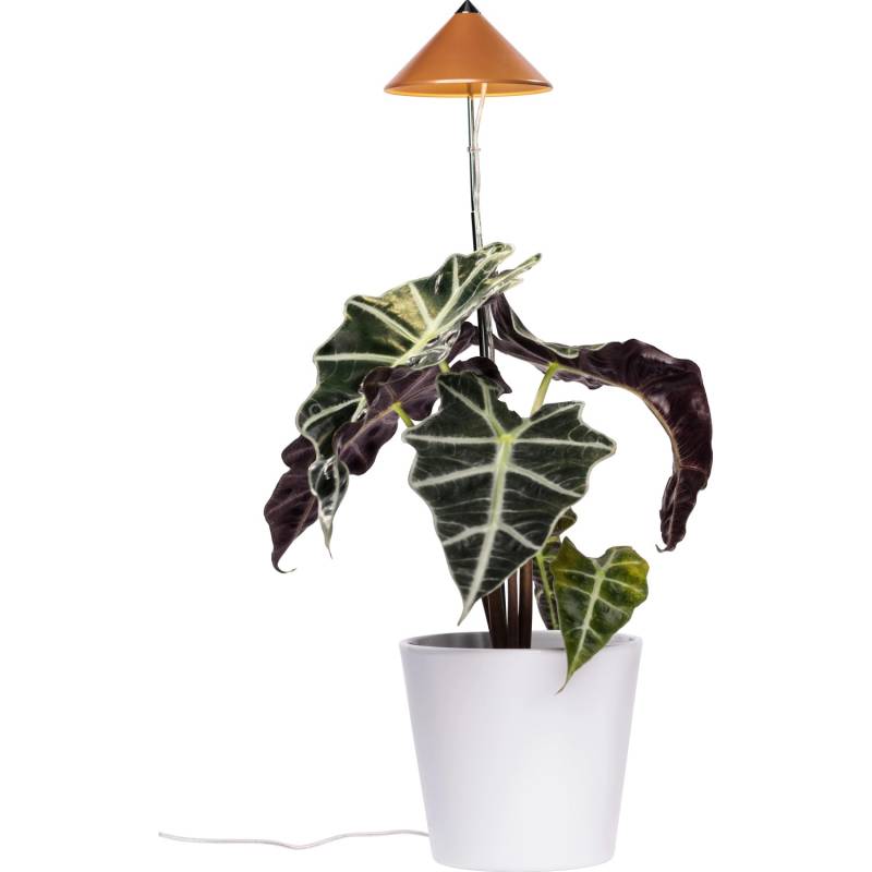 Parus by Venso LED-Pflanzenlampe Sunlite 7 W Kupfer von Parus by Venso