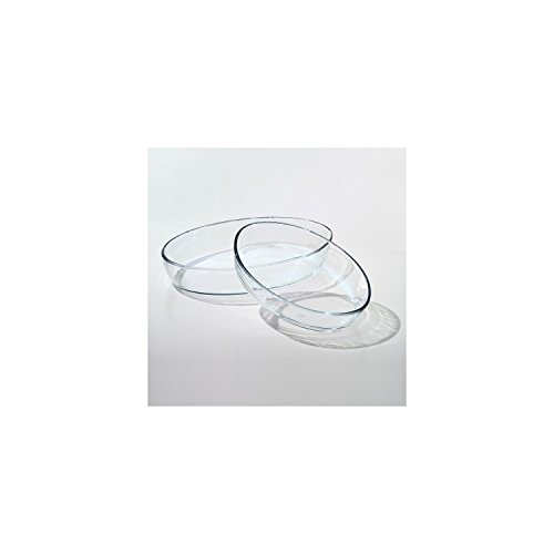 2-teilig Borcam-Set Backform Glas Auflaufform Servierform oval Glasauflaufform von Pasabahce