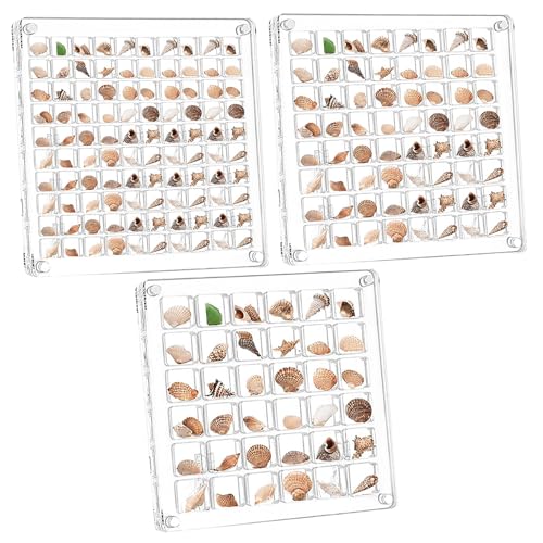 Pasdrucn 3 Stück Setzkasten Acryl, 36/64/100 FächerAcrylic Magnetic Seashell Display Box, Edelstein Aufbewahrungsbox, Acryl Boxen Zur Präsentation, Acrylic Box(Ohne Muscheln Oder Diamanten) von Pasdrucn