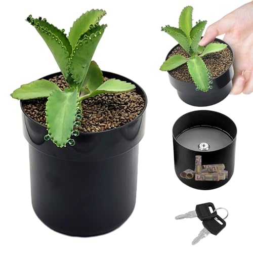 Pasdrucn Safe in Form eines Blumentopfs, Schließbar versteckte Blumenkiste, Creative Flower Pot Stash Box, Geheimversteck Geld, Schlüssel und andere Wertsachen (Schwarz) von Pasdrucn