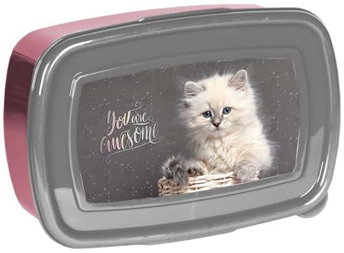 PASO Frühstücksbox Katze 750ml von PASO