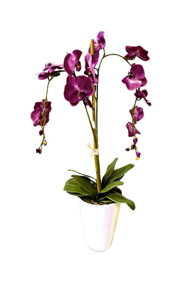 Kunstpflanze Künstliche Orchidee XL Kunstblume wie echt Kunstpflanze 768 Kunstorchideen, PassionMade, Höhe 80 cm, Künstliche Orchideen wie echt im Topf von PassionMade