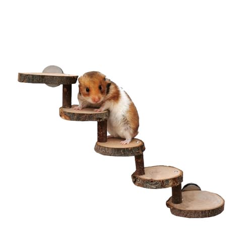Hamster-Kletterspielzeug, Natürliches Holztreppen- Und Kauspielzeug Für Hamster, Sicheres Kletterhamster-Zubehör Für Käfige Mit Festen Schrauben von PatPatPet