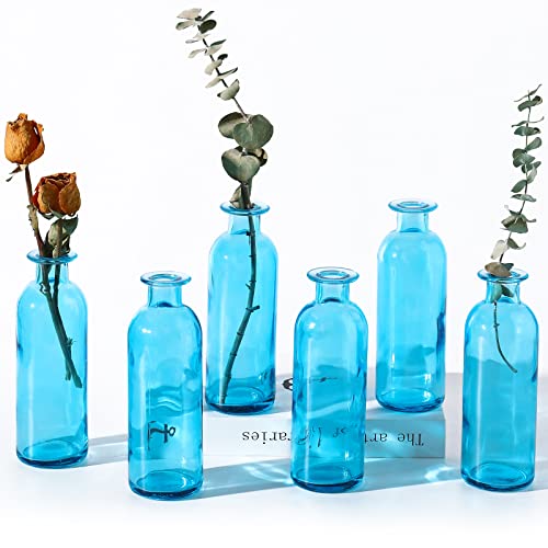 Bernsteinfarbene Glasvase Knospenvasen Apothekergläser Deko Antike Hohe Klasse Blumenvase für Mittelstück Blumensträuße Heim Deko Hochzeit Braut Dusche, 6,3 x 2,2 Zoll (Blau, 6 Stück) von Patelai