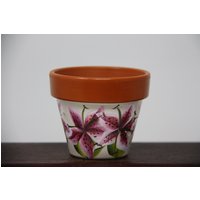 Mini Handbemalt Blumentöpfe, Saftig Topf, Blumentopf Partei Begünstigt Tigerlilie von Paterica2