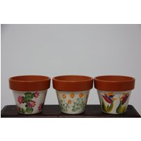 Mini Handbemalt Blumentöpfe, Saftig Topf, Blumentopf Partei Begünstigt Vogel Des Paradieses Kaktus von Paterica2