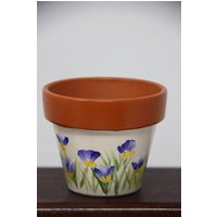 Mini Von Hand Bemalt Blumentöpfe, Saftig Topf, Blumentopf Partei Begünstigt Krokus von Paterica2