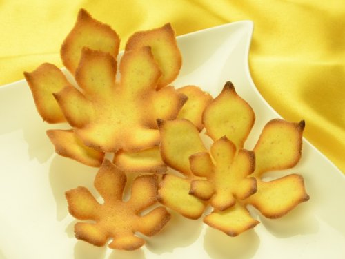 Pati-Versand Hippenschablonen Magnolie 5-teilig Pati-Versand Hippenschablonen Magnolie 5-teilig von Pati-Versand