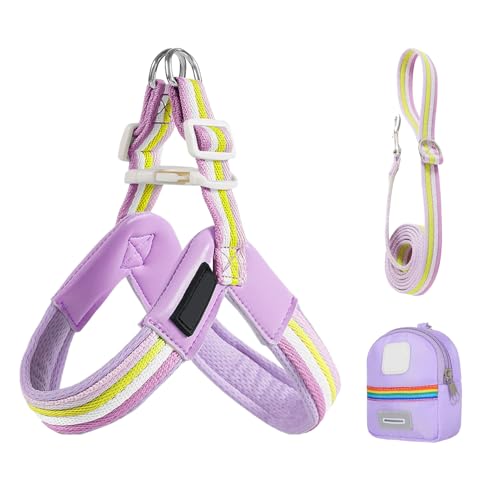 Patifirst Hundegeschirr Und Gurt Set | Verstellbares Geschirr Für Kleine Hunde | Ergonomischer Sitz Sicherheit Mit Tasche Für Training Spaziergänge Aktivitäten von Patifirst