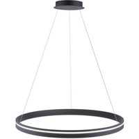 LED Hängelampe Ring Anthrazit Ø79 cm 7000 lm dimmbar von Paul Neuhaus GmbH