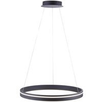 LED Hängelampe Ring Ø59 cm 38 W dimmbar Fernbedienung von Paul Neuhaus GmbH