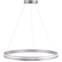 LED Hängelampe Ring in Stahl Ø79 cm 7000 lm dimmbar von Paul Neuhaus GmbH