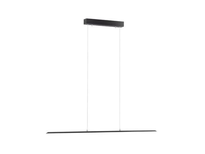 Design-Hängelampe Pure Lite 100cm Anthrazit Paul Neuhaus - von Paul-Neuhaus
