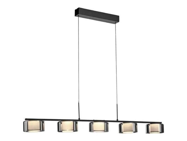 Paul Neuhaus, Pendelleuchte, LED Pendellampe RIKA manuell höhenverstellbar, stufenlos dimmbar, Memoryfunktion (5000 lm) von Paul-Neuhaus