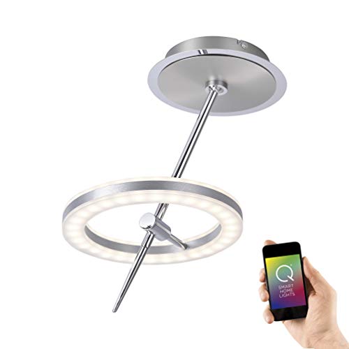 Paul Neuhaus 6991-55 Q-Amy LED Deckenleuchte Smart Home Alexa fähig, CCT Farbwechsel warmweiß - tageslichtweiß per FB von Paul Neuhaus