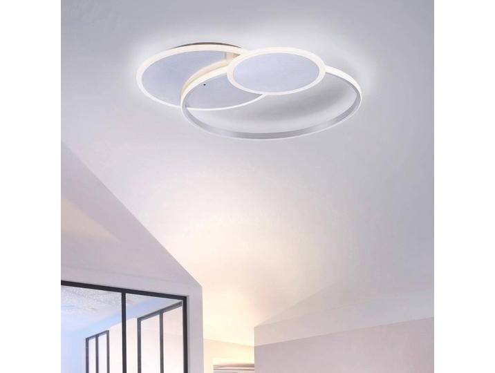 Paul Neuhaus LED Deckenlampe Emilio, dimmbar, alu / grau / zink, für Wohn- / Esszimmer, Aluminium, Modern, LED Deckenleuchte von Paul-Neuhaus