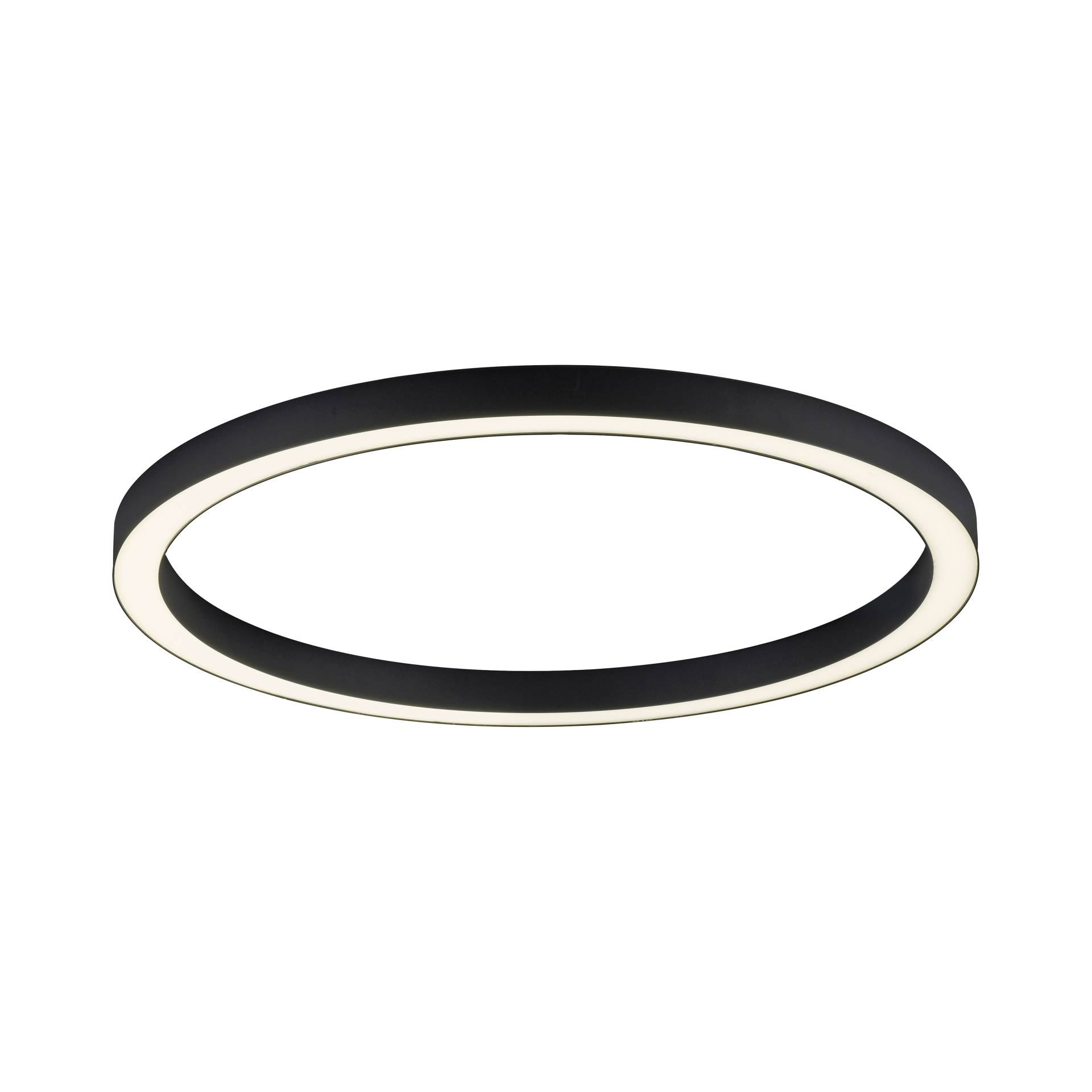 Paul Neuhaus LED-Deckenleuchte PURE LINES ROUND 1-flammig in Farbe anthrazit Paul Neuhaus LED-Deckenleuchte PURE LINES ROUND 1-flammig in Farbe anthrazit von Paul Neuhaus