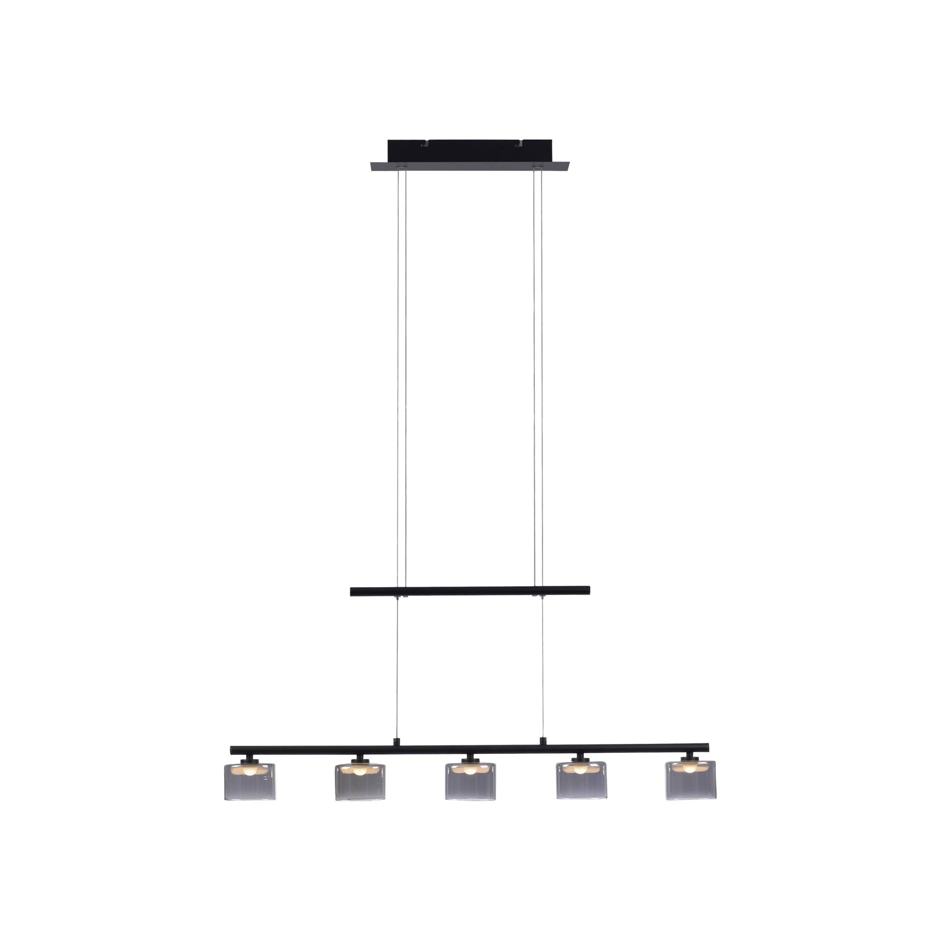 Paul Neuhaus LED-Pendelleuchte HYDRA 5-flammig in Farbe schwarz Paul Neuhaus LED-Pendelleuchte HYDRA 5-flammig in Farbe schwarz von Paul Neuhaus