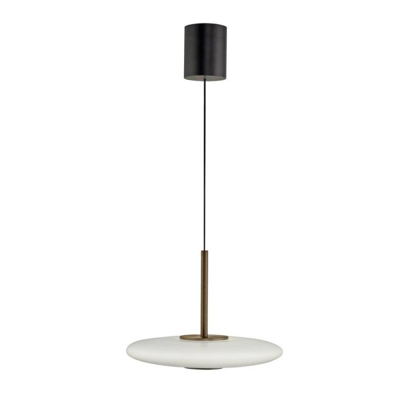 Paul Neuhaus LED Pendelleuchte LED Pendellampe PURE Vitrum e-LIFT, CCT-Farbtemperaturregelung, Dimmfunktion, Memoryfunktion, 1xCOB/8W, warmweiß bis kaltweiß, elektrisch höhenverstellbar dimmbar Fernbedienung von Paul Neuhaus