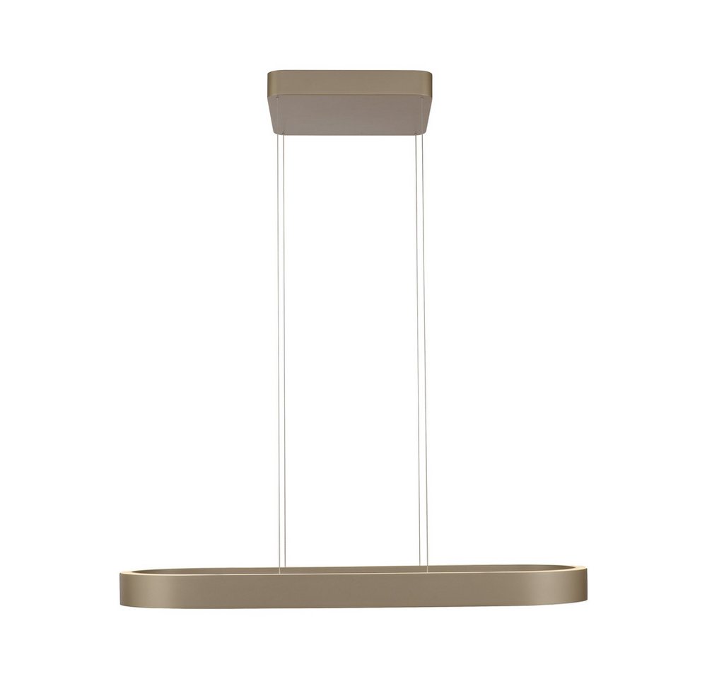 Paul Neuhaus LED Pendelleuchte LED Pendellampe Q-STRETTO, Farbtemperaturregelung (CCT), dimmbar höhenverstellbar, 2xLED/22Watt, warmweiss-kaltweiß (CCT), höhenverstellbar Up&Down Licht CCT von Paul Neuhaus